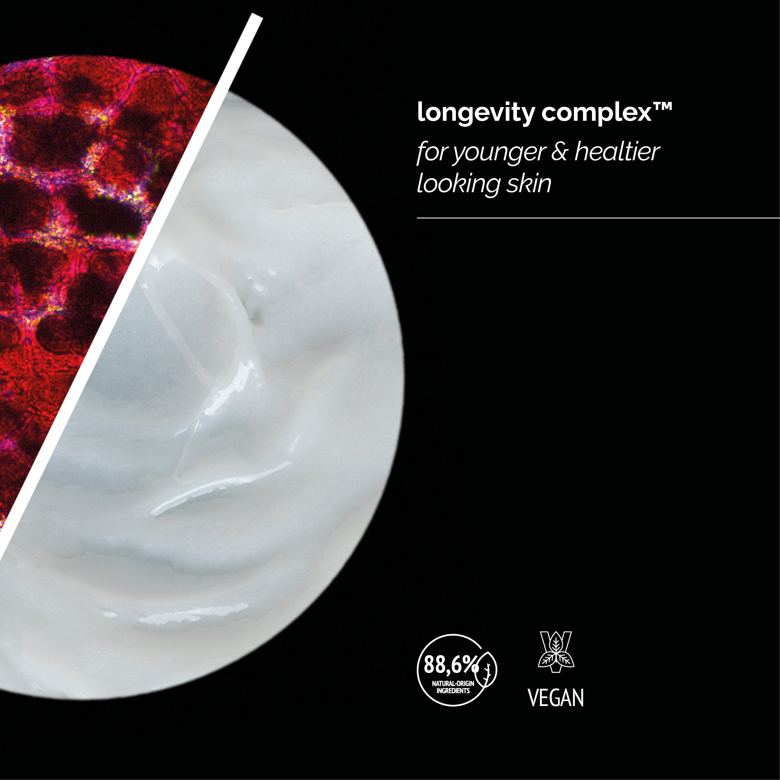 Skin Regimen LX Detox Cleanser