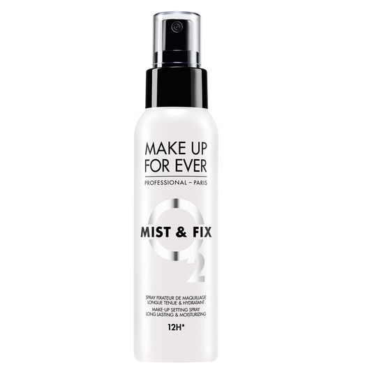 MIST AND FIX