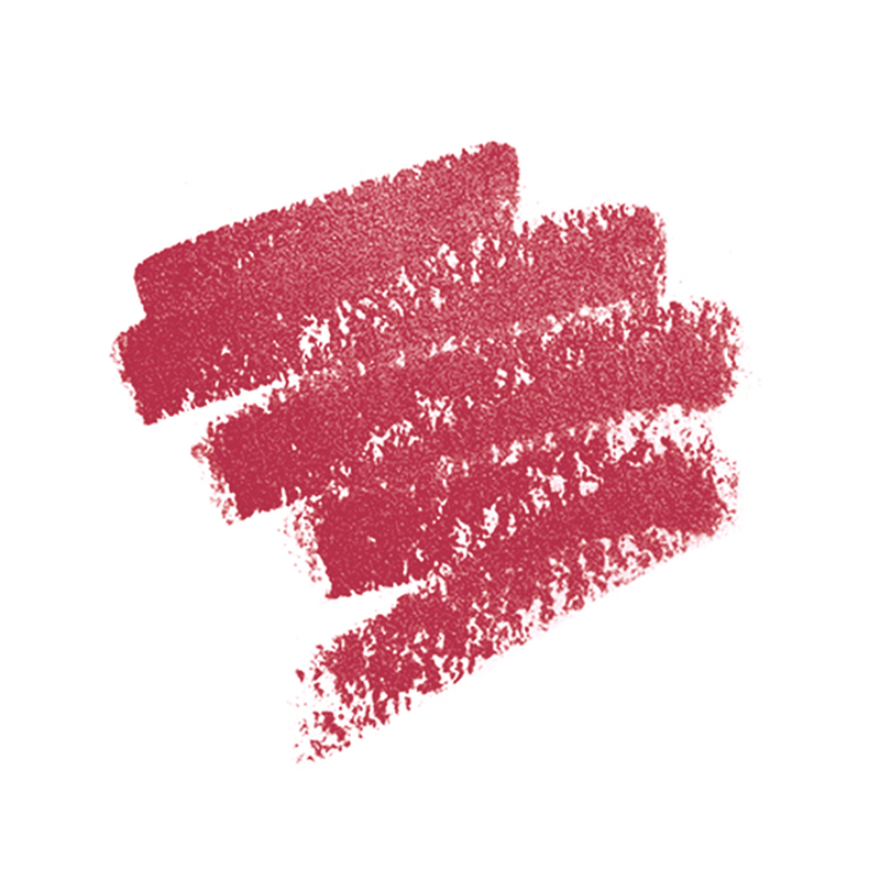ARTIST LIP BLUSH