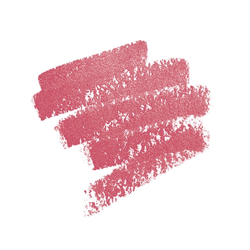 ARTIST LIP BLUSH