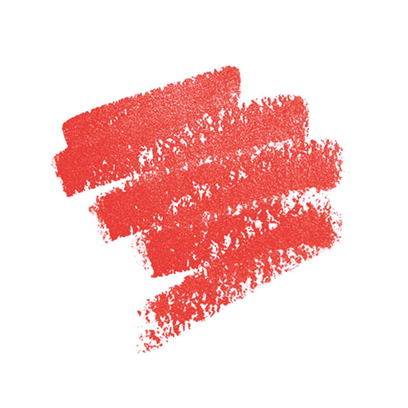 ARTIST LIP BLUSH