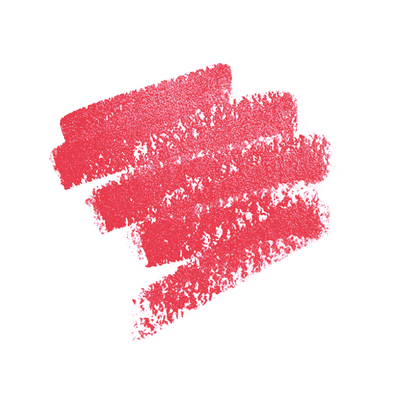 ARTIST LIP BLUSH