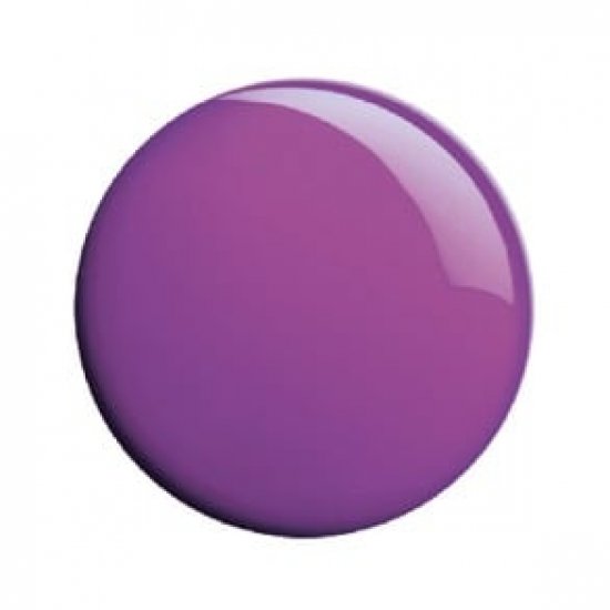 ARTIST PLEXI GLOSS